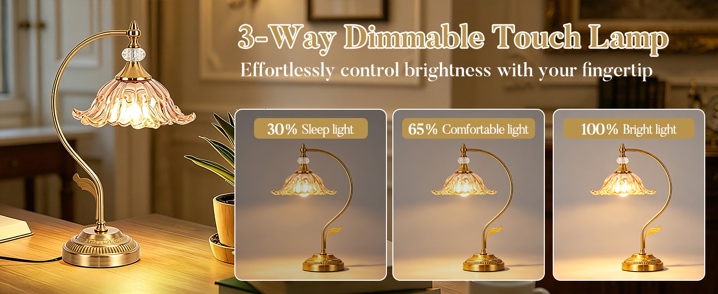 Plug in Table Lamp