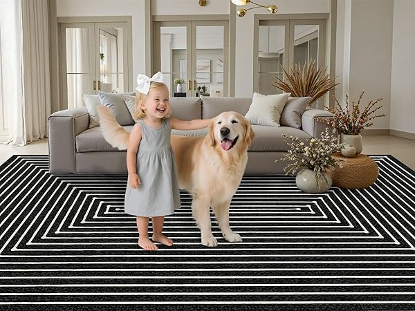 rug