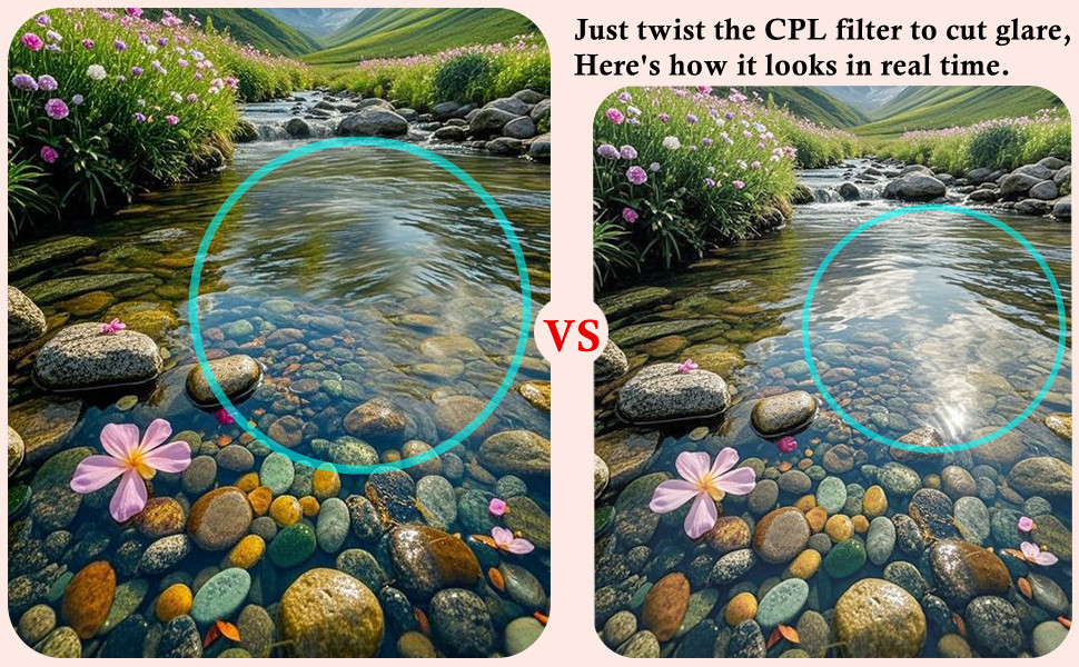 Phone polarizing filter