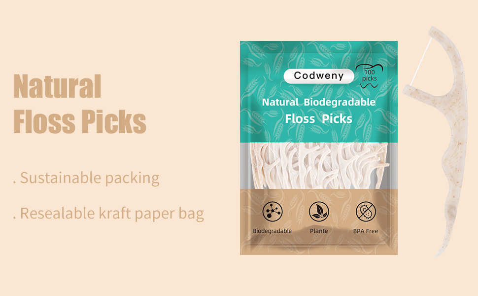 Biodegradable Dental Floss Picks 