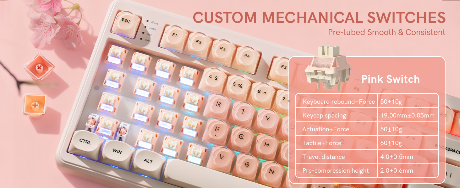 CUSTOM MECHANICAL SWITCHES