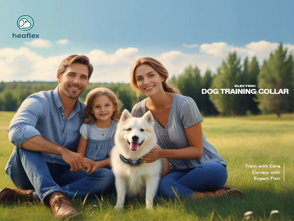 shock collar for medium dogs dog training collar with remote