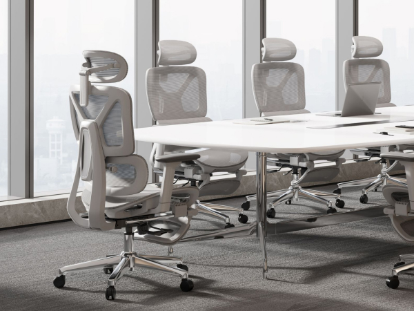 flexispot C7 Lite office chair