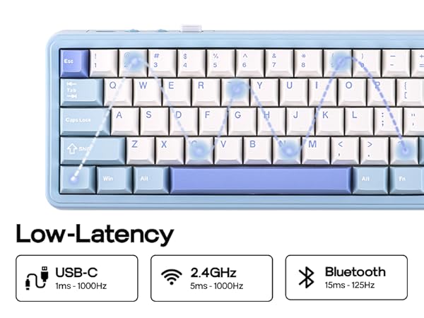 HE65 wireless gaming keyboard with screen and knob