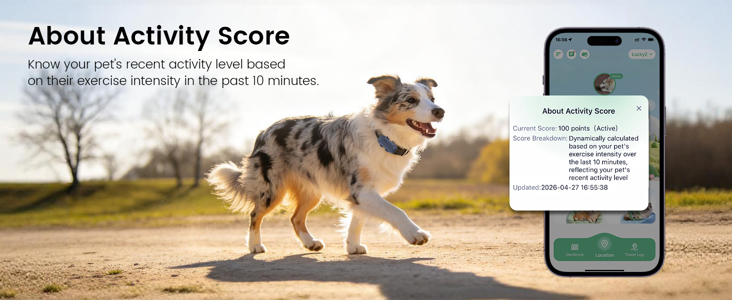 mini dog tracker collar