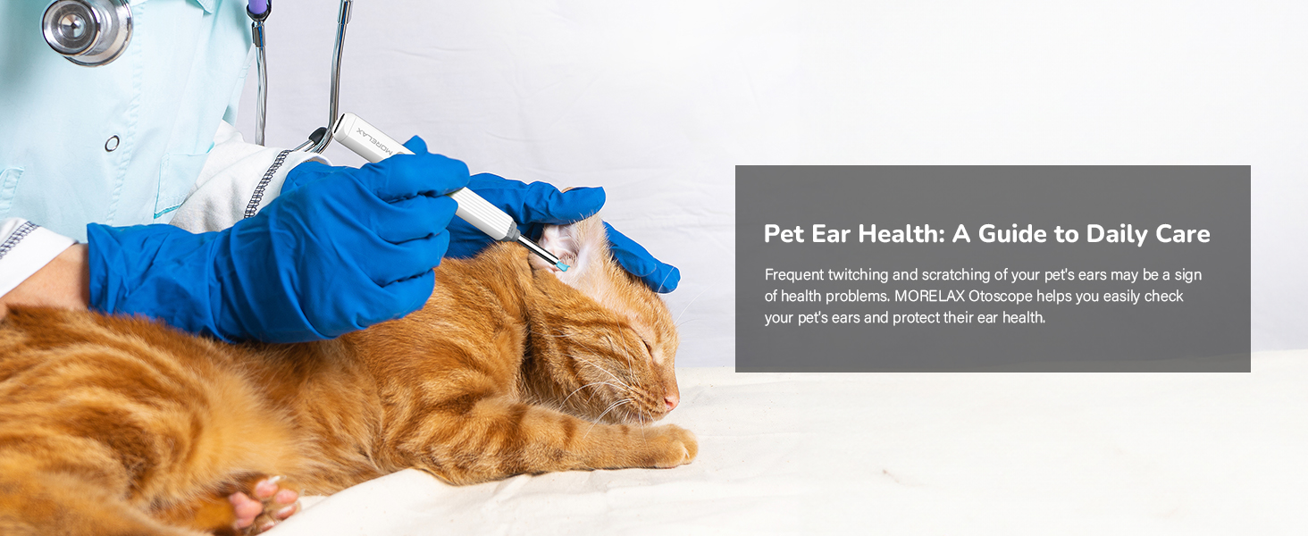 earwax removal kit with camera