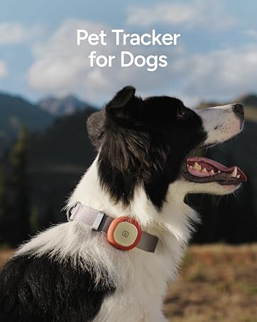pet tracker for dogs
