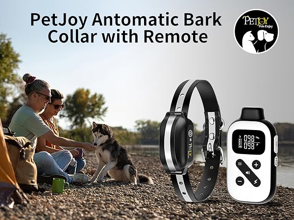 auto shock collar with remote