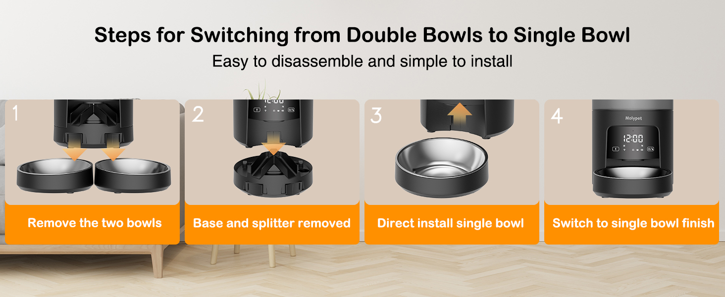 automatic cat feeder