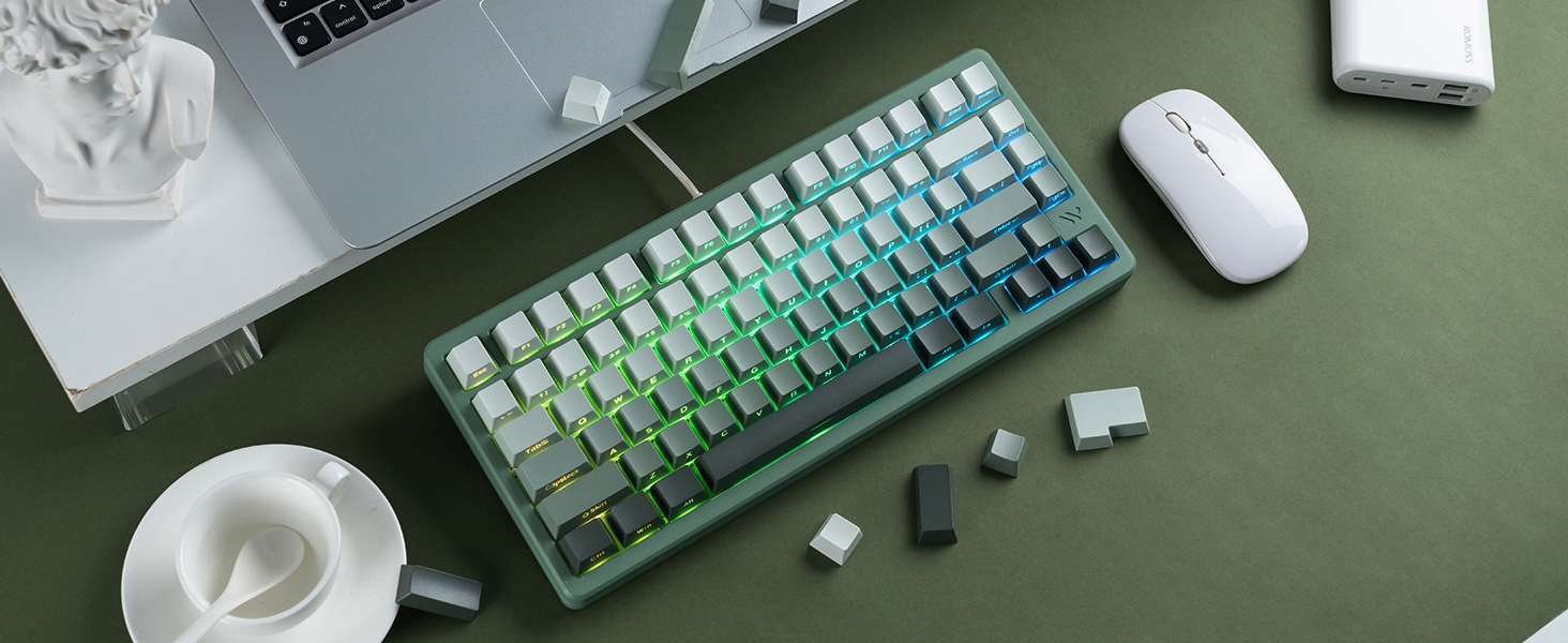 seaweed Double Shot PBT keycaps Set,Shine Through Keyboard keycaps Gradient 60% 75% 100%,OEM Profile