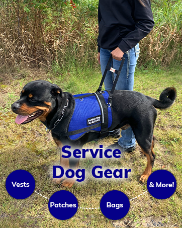 service dog gear