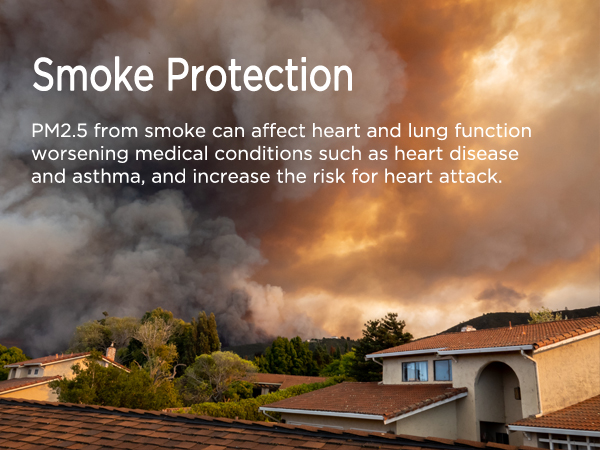 air purifier for smoke 2