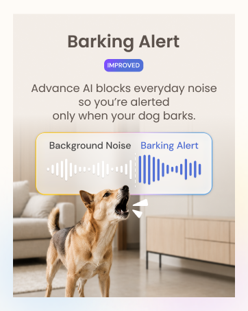 Barking Alert