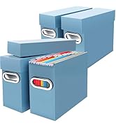 Naleyber File Organizer Box with Lid &amp; Handle, Heavy Duty Hanging File Folder Storage Boxes for L...