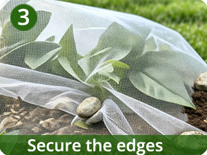 Gardeningwill garden netting secure the edges