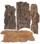 Totority Natural Cork Bark 4 PCS Cork Terrarium Background Natural Reptile Bark Backdrop Reptile ...