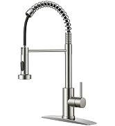 FORIOUS Kitchen Faucets, Brushed Nickel Kitchen Sink Faucet with Pull Down Sprayer, Commercial Ki...