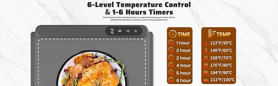 food warming tray