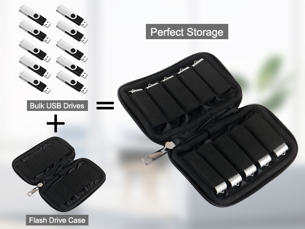 Flash drive storage case