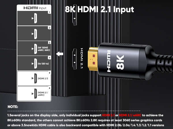 HDMI 2.1 INPUT