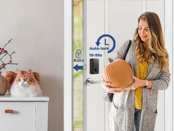 Auto-lock