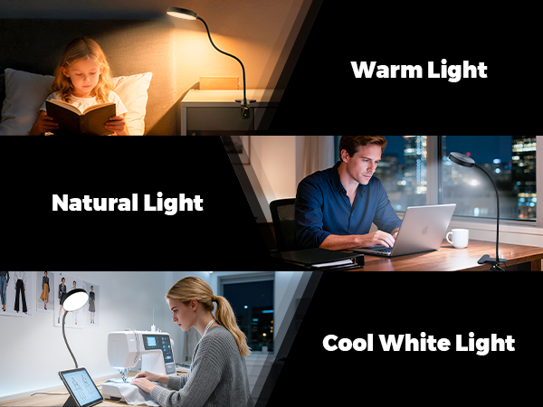 Desk Lamp