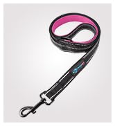 leash