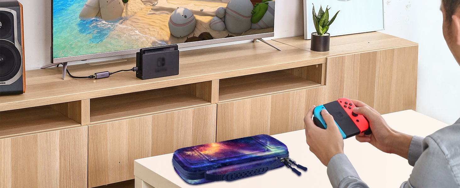 nintendo switch case
