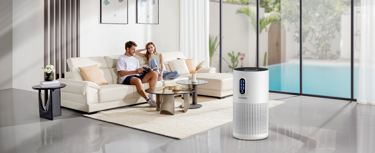 air purifier for living room 