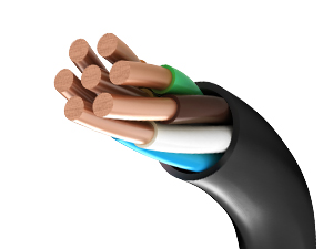 Cat 6 Ethernet Cable