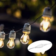 bulb