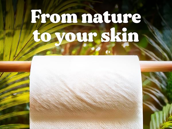bamboo toilet paper plant organic chemical free pfa eco sustainable bambo natural recycled friendly