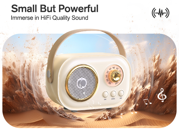 Karaoke Machine for Kids Adults