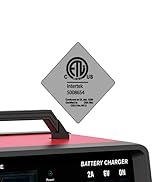 battery charger