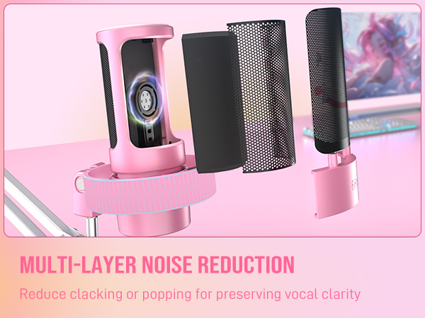 microphone for singing