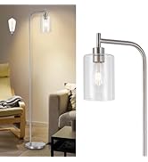 DLLT Floor Lamp Tall for Room: Nickel Standing Lamp with Clear Glass Lampshade for Living Room - ...