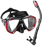 Snorkel Set Adult Snorkeling Gear Anti-Fog Panoramic Scuba Diving Mask and Dry Snorkel Tempered G...