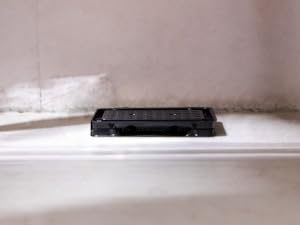 scorpion glue tray trap