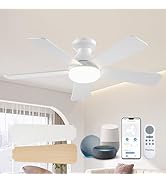 Passky Ceiling Fans with Lights, 42 Inch Smart Ceiling Fan with Remote/APP/Alexa Voice Control, F...