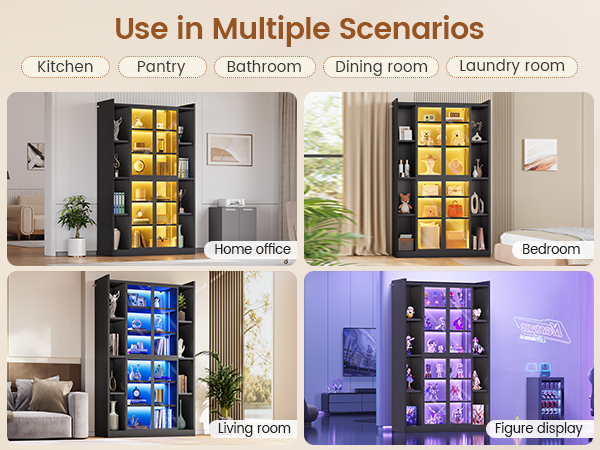 Display Cabinet with Glass Doors