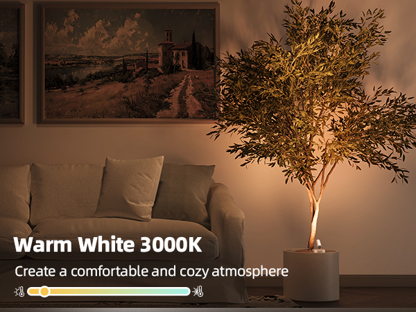 Wireless LED Spotlights Indoor