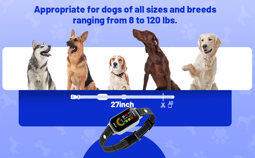 Bark Collar