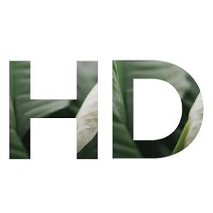 HD