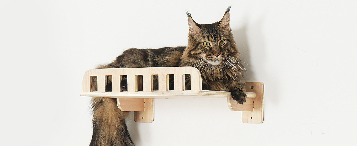 large cat perch
