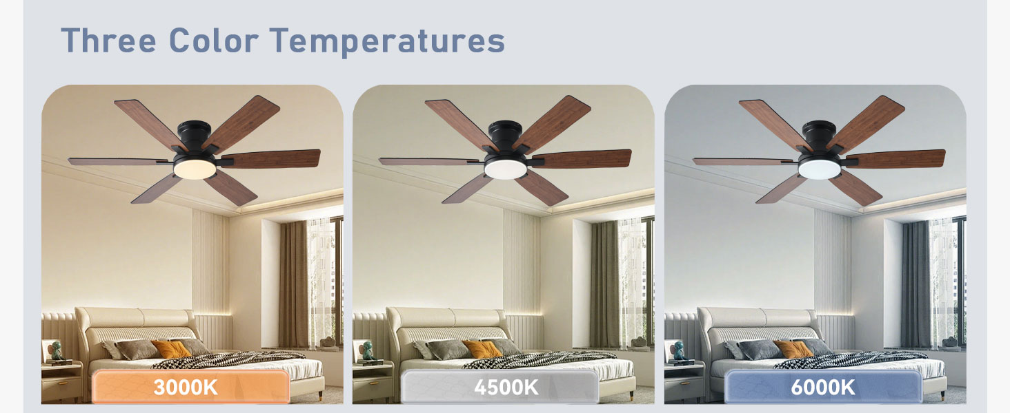 Ceiling Fans with Lights