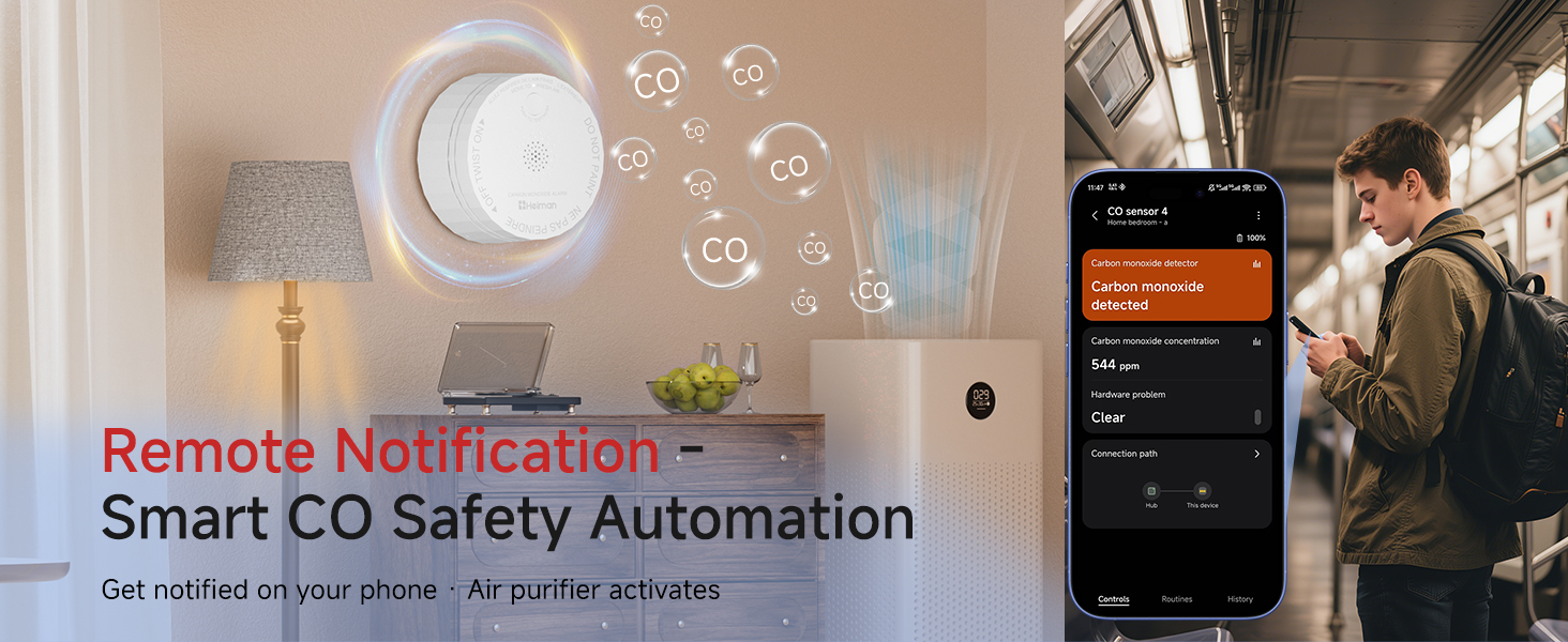 remote notificatin co alarm