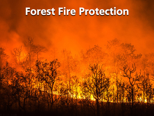 Forest Fire Protection