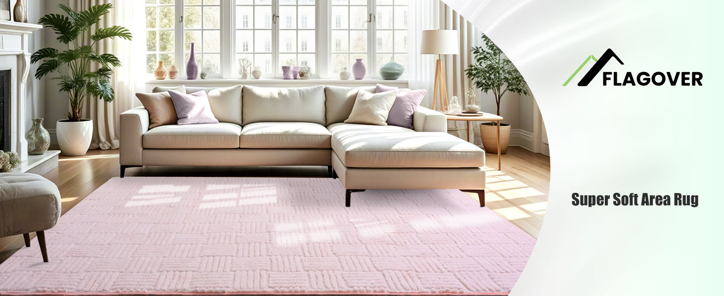carpet living room