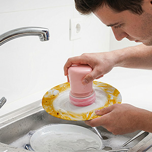 dish washing brush
