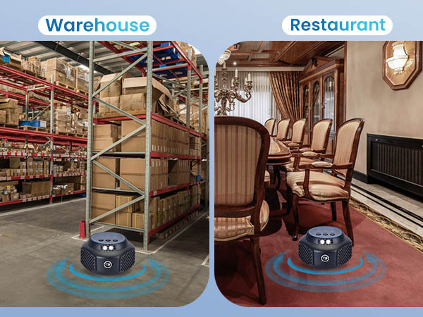 Warehouse,Restaurant